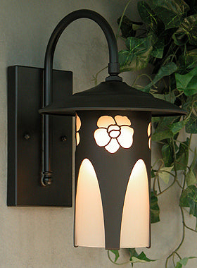 Begonia Lantern